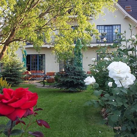 Villa Westfalia Guest House Targu Secuiesc Bagian luar foto
