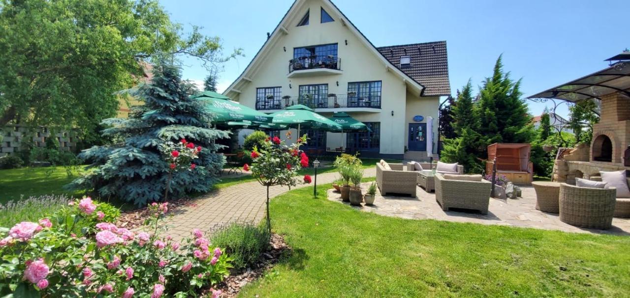 Villa Westfalia Guest House Targu Secuiesc Bagian luar foto