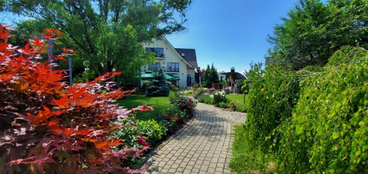 Villa Westfalia Guest House Targu Secuiesc Bagian luar foto