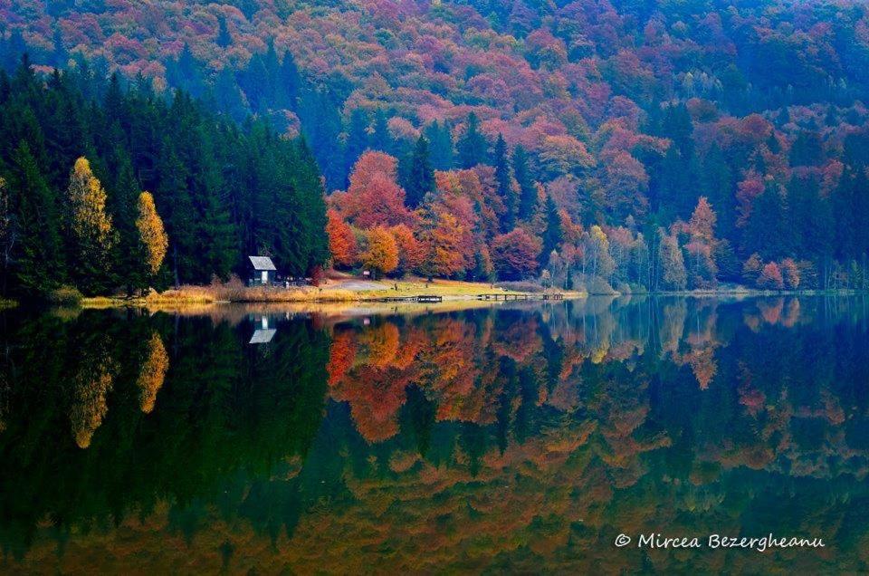 Villa Westfalia Guest House Targu Secuiesc Bagian luar foto