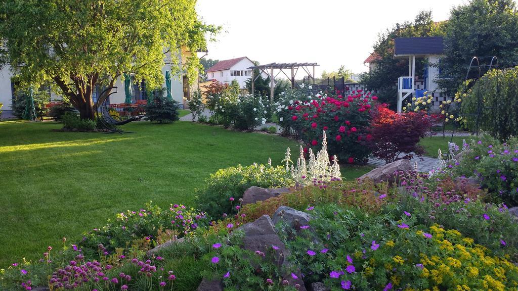 Villa Westfalia Guest House Targu Secuiesc Bagian luar foto