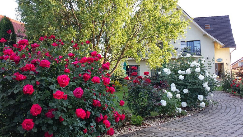 Villa Westfalia Guest House Targu Secuiesc Bagian luar foto