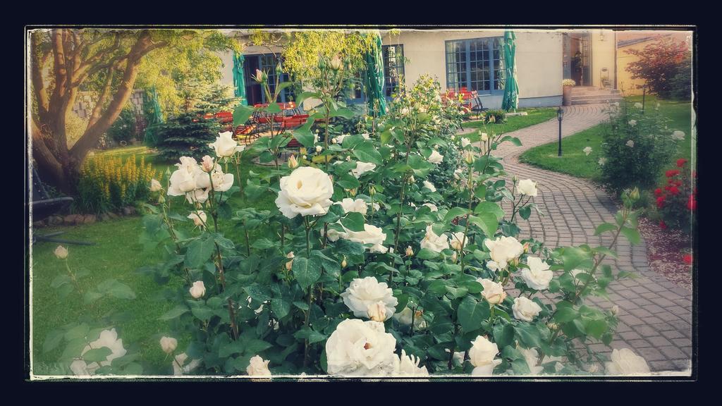 Villa Westfalia Guest House Targu Secuiesc Bagian luar foto